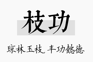 枝功名字的寓意及含义