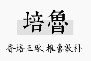 培鲁名字的寓意及含义