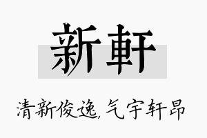 新轩名字的寓意及含义