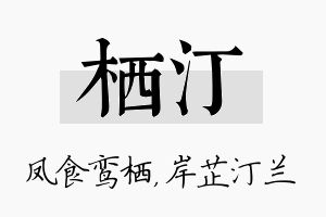 栖汀名字的寓意及含义