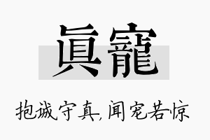 真宠名字的寓意及含义