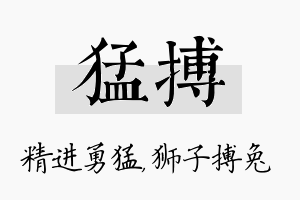 猛搏名字的寓意及含义