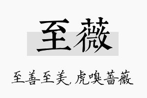 至薇名字的寓意及含义