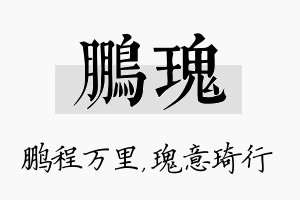 鹏瑰名字的寓意及含义