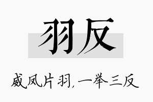 羽反名字的寓意及含义