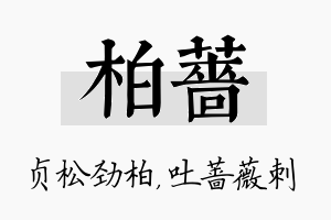 柏蔷名字的寓意及含义