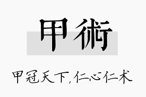 甲术名字的寓意及含义