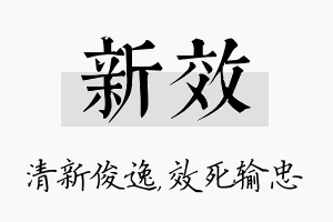 新效名字的寓意及含义