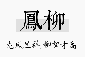 凤柳名字的寓意及含义