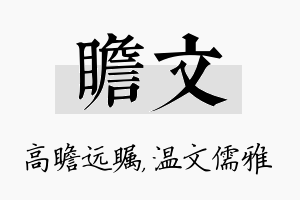 瞻文名字的寓意及含义