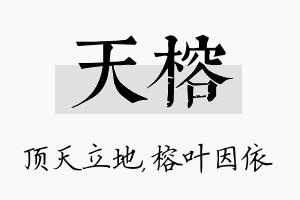 天榕名字的寓意及含义