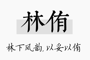 林侑名字的寓意及含义