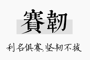 赛韧名字的寓意及含义