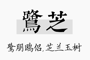 鹭芝名字的寓意及含义