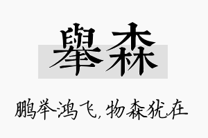 举森名字的寓意及含义