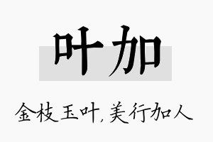 叶加名字的寓意及含义