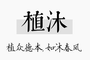 植沐名字的寓意及含义