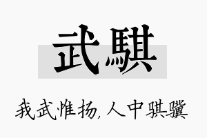 武骐名字的寓意及含义