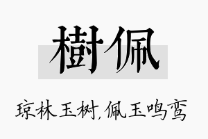 树佩名字的寓意及含义