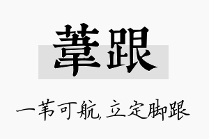 苇跟名字的寓意及含义