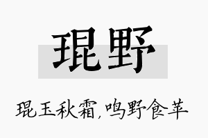 琨野名字的寓意及含义