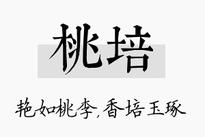 桃培名字的寓意及含义