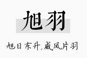 旭羽名字的寓意及含义