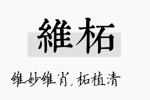 维柘名字的寓意及含义