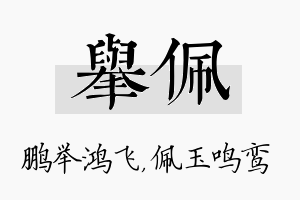 举佩名字的寓意及含义