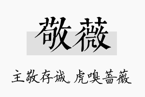 敬薇名字的寓意及含义