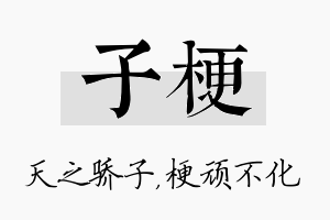 子梗名字的寓意及含义