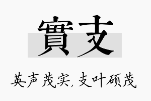 实支名字的寓意及含义