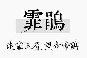 霏鹃名字的寓意及含义