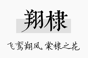 翔棣名字的寓意及含义