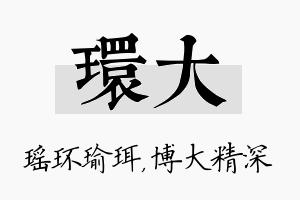 环大名字的寓意及含义