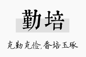 勤培名字的寓意及含义