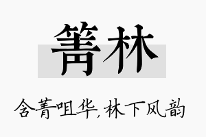 箐林名字的寓意及含义