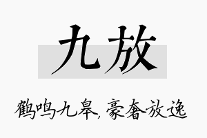 九放名字的寓意及含义