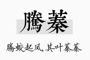 腾蓁名字的寓意及含义