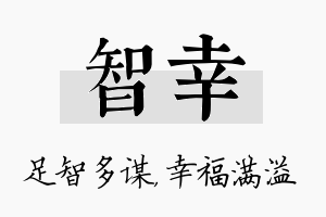 智幸名字的寓意及含义