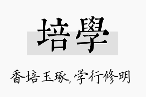 培学名字的寓意及含义