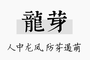 龙芽名字的寓意及含义