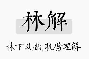 林解名字的寓意及含义