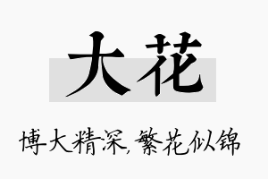 大花名字的寓意及含义