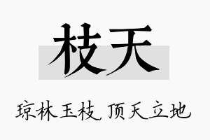 枝天名字的寓意及含义