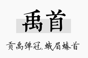 禹首名字的寓意及含义