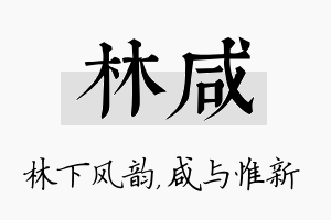 林咸名字的寓意及含义