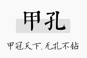 甲孔名字的寓意及含义