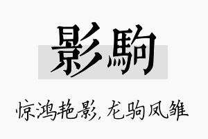 影驹名字的寓意及含义