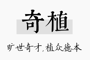 奇植名字的寓意及含义